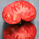 Blue Tom, økologiske tomatfrø