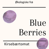 Blue Berries, økologiske tomatfrø