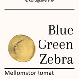 Blue Green Zebra, økologiske tomatfrø