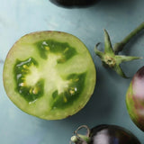 Blue Green Zebra, økologiske tomatfrø