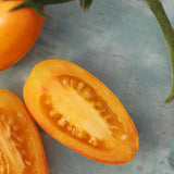 Blush, økologiske tomatfrø