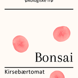 Bonsai, økologiske tomatfrø