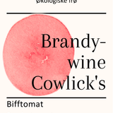 Brandywine Cowslick's, økologiske tomatfrø