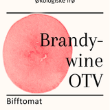 Brandywine OTV, økologiske tomatfrø