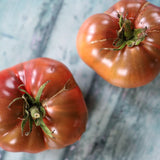 Carbon, økologiske tomatfrø