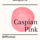 Caspian Pink, økologiske tomatfrø