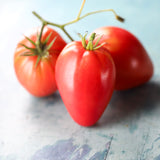 Cuor di Bue, økologiske tomatfrø