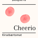 Cherrio, økologiske tomatfrø