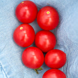 Cherry Falls, økologiske tomatfrø