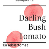 Darling Bush Tomato, økologiske tomatfrø