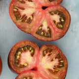 Dirty Curty, økologiske tomatfrø