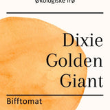 Dixie Golden Giant, økologiske tomatfrø