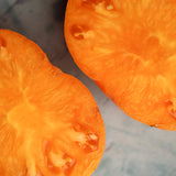 Dr. Wyche's Yellow, økologiske tomatfrø