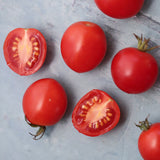 Dwarf Bendigo Dawn, økologiske tomatfrø