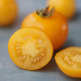 Dwarf Galen's Yellow, økologiske tomatfrø