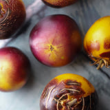 Dwarf Gondwana Moon, økologiske tomatfrø