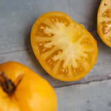 Dwarf Lemon Ice, økologiske tomatfrø