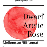 Dwarf Arctic Rose, økologiske tomatfrø