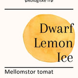 Dwarf Lemon Ice, økologiske tomatfrø