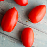 Window Dwarf, økologiske tomatfrø