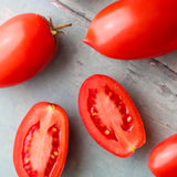 Window Dwarf, økologiske tomatfrø