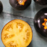Elma Blue Woolley, økologiske tomatfrø
