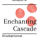 Enchanting Cascade, økologiske tomatfrø