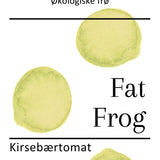 Fat Frog, økologiske tomatfrø