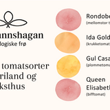 Frøpakke: 4 tidlige tomatsorter for friland og veksthus, økologiske tomatfrø