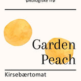 Garden Peach, økologiske tomatfrø