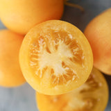 Garden Peach, økologiske tomatfrø