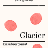 Glacier, økologiske tomatfrø