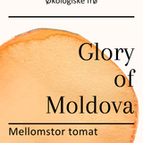Glory of Moldova, økologiske tomatfrø