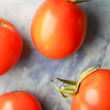 Glory of Moldova, økologiske tomatfrø