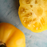 Gold Medal Yellow, økologiske tomatfrø