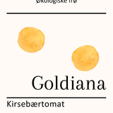 Goldiana, økologiske tomatfrø