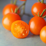 Goldiana, økologiske tomatfrø