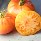 Grapefruit, økologiske tomatfrø