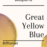 Great Yellow Blue, økologiske tomatfrø