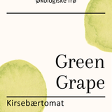 Green Grape, økologiske tomatfrø