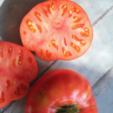 Wisconsin Chef, økologiske tomatfrø