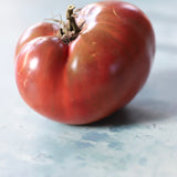 Thorburn's Terracotta, økologiske tomatfrø