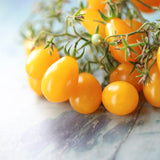 Ildi, økologiske tomatfrø