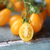 Ildi, økologiske tomatfrø