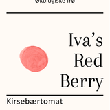 Iva's Red Berry, økologiske tomatfrø