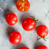 Koralik, økologiske tomatfrø