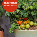Samlepakke: 4 krukketomater for balkong og terrasse