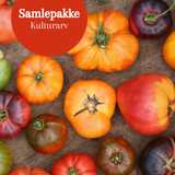 Samlepakke: 4 kulturarvsorter (Heirlooms), økologiske tomatfrø