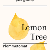 Lemon Tree, økologiske tomatfrø