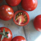 Lost Marbles, økologiske tomatfrø